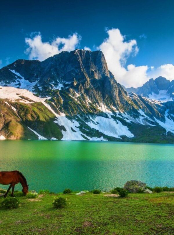 Green alpine landscape with lake and mountains on the Kashmir Great Lakes Trek