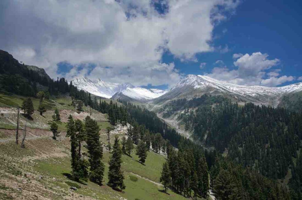 Daksum tour packages featuring scenic forest landscapes in South Kashmir | Panda Tours and Travels