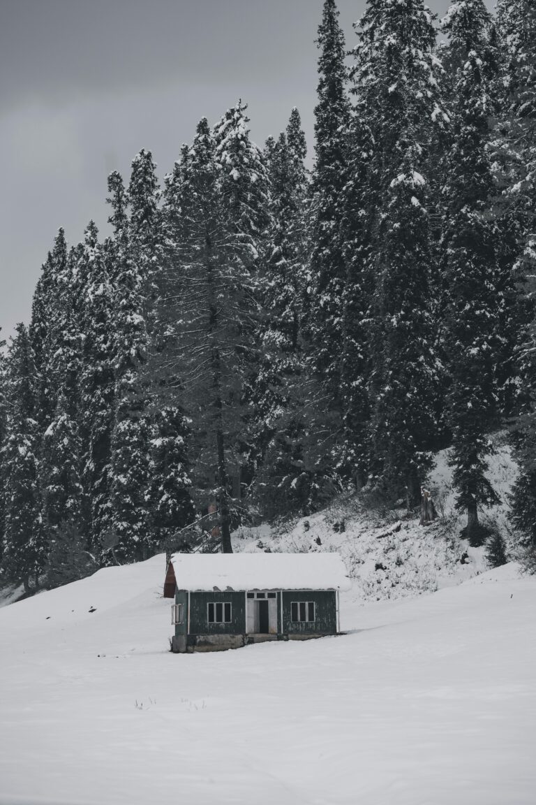 Gulmarg tour packages showcasing snow-covered mountains and scenic landscapes in Kashmir | Panda Tours and Travels