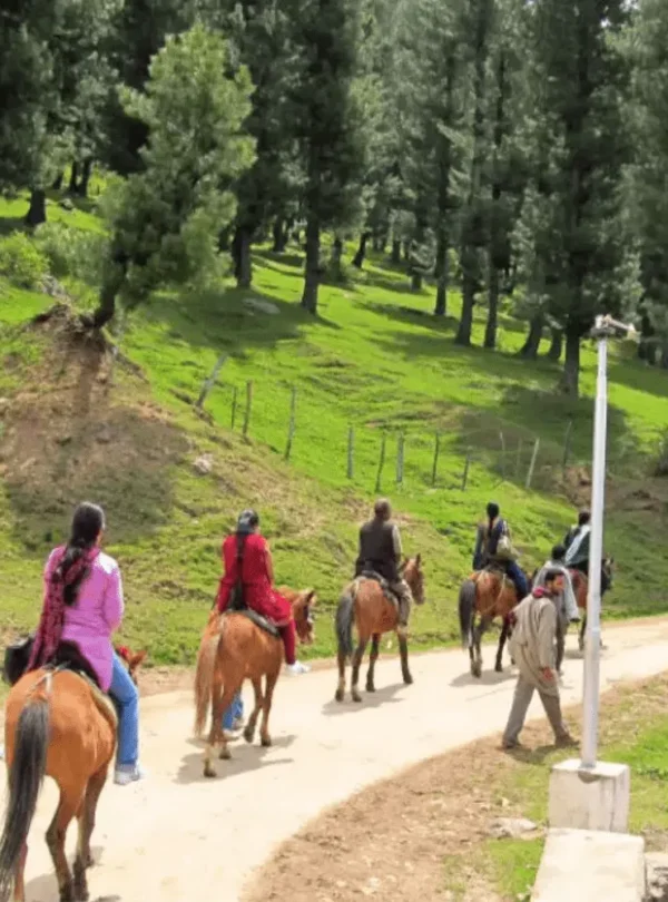 Pony riding in Kashmir through scenic meadows of Pahalgam and Gulmarg | Panda Tours and Travels