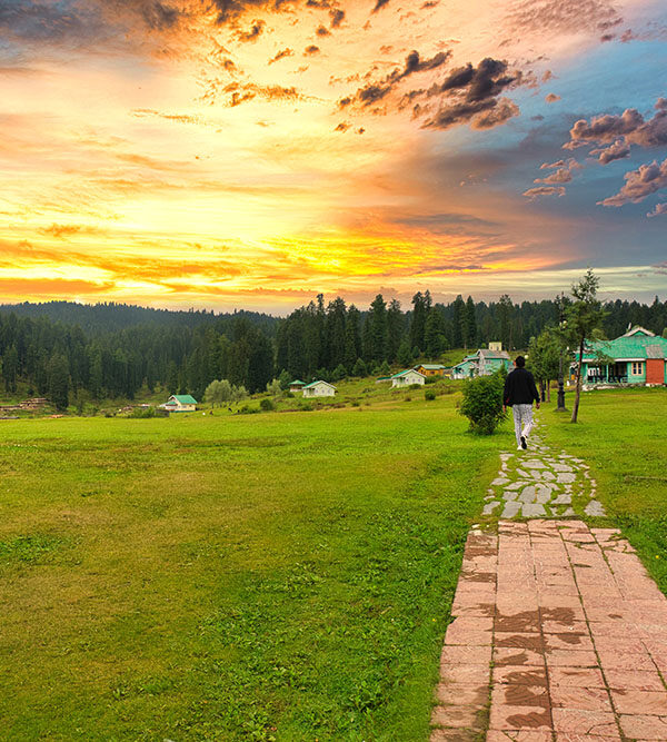Yusmarg tour packages showcasing lush green meadows and scenic landscapes in Kashmir | Panda Tours and Travels