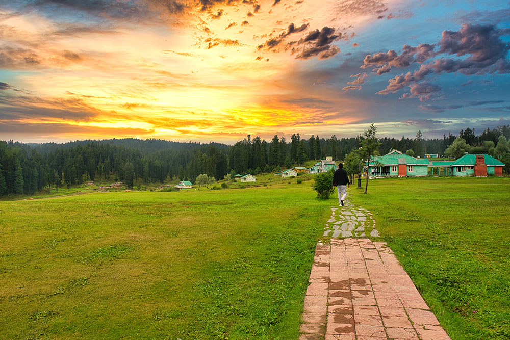 Yusmarg tour packages showcasing lush green meadows and scenic landscapes in Kashmir | Panda Tours and Travels