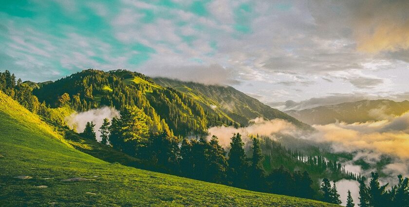 Sanasar Bhaderwah landscape with lush green meadows, pine forests, and Himalayan mountains in Jammu region | Panda Tours and Travels