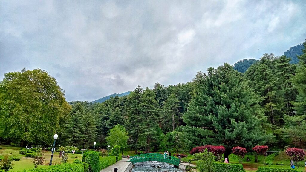 Botanical Garden Kokernag with lush greenery and natural springs in South Kashmir | Panda Tours and Travels