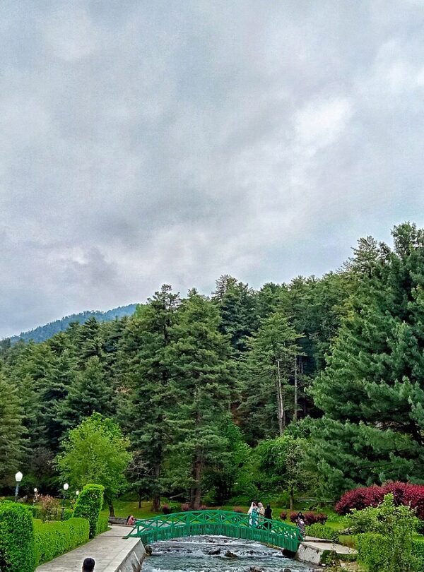 Botanical Garden Kokernag with lush greenery and natural springs in South Kashmir | Panda Tours and Travels