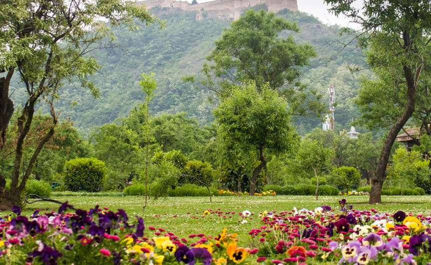 Badamwari Garden in Srinagar showcasing almond blossoms, a serene spring attraction among Kashmir travel destinations | Panda Tours and Travels