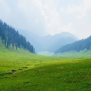 Bangus Valley landscape in North Kashmir with lush meadows, mountains, and untouched natural beauty included in our Kashmir Tour Package| Panda Tours and Travels