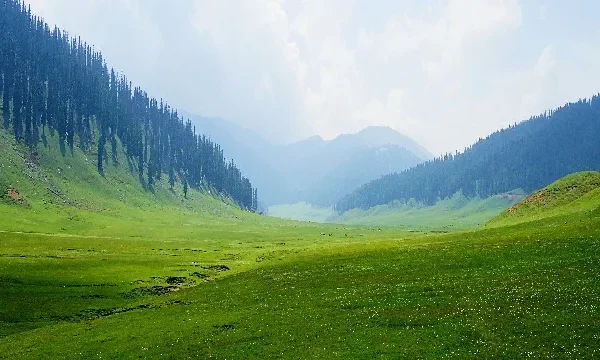Bangus Valley landscape in North Kashmir with lush meadows, mountains, and untouched natural beauty included in our Kashmir Tour Package| Panda Tours and Travels