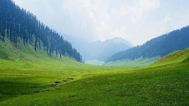 Bangus Valley landscape in North Kashmir with lush meadows, mountains, and untouched natural beauty included in our Kashmir Tour Package| Panda Tours and Travels