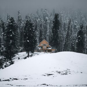 Gulmarg hill station covered in snow and green meadows, one of the most beautiful Kashmir travel destinations | Panda Tours and Travels
