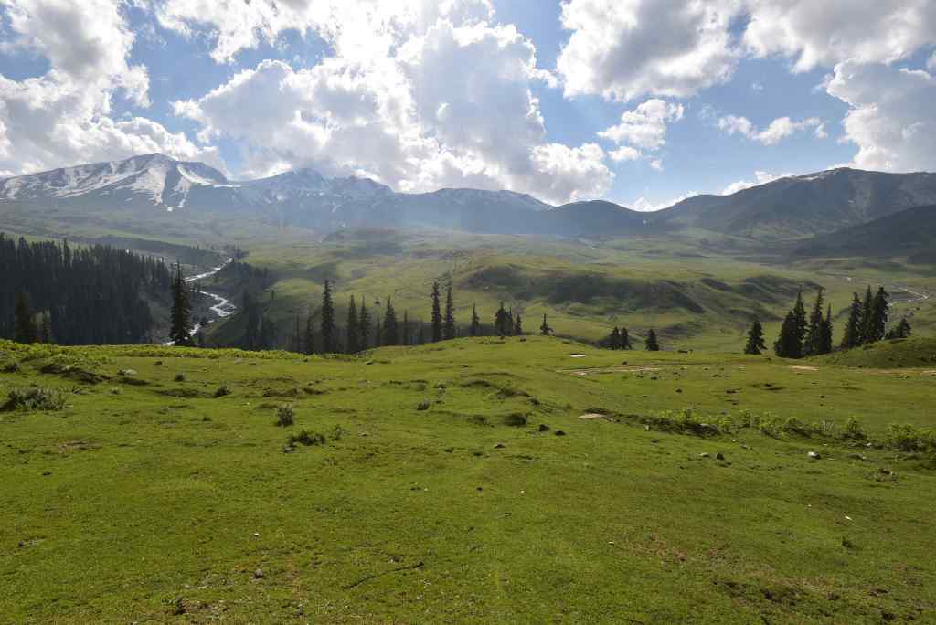 Tosa Maidan landscape with lush green meadows and mountains included in Tosa Maidan tour packages | Panda Tours and Travels