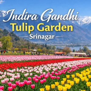 featured image for indra gandhi tulip memorial tulip garden -2026