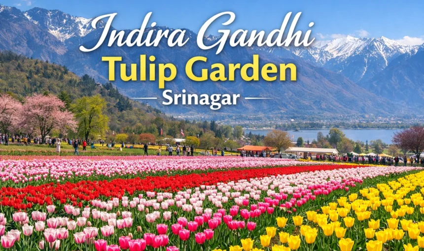 Indra Gandhi Memorial Tulip Garden-2026