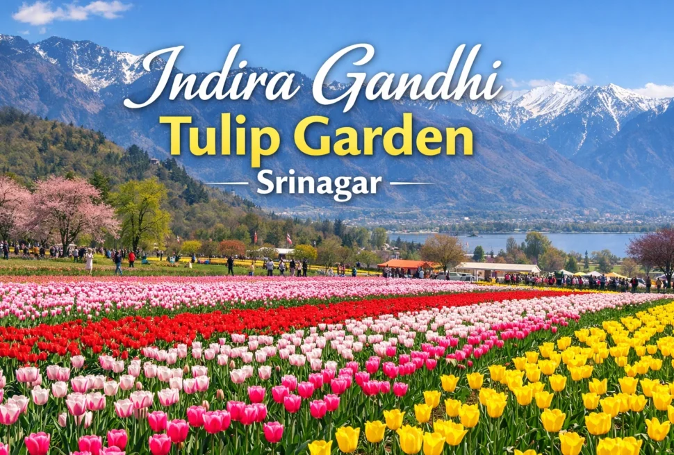 featured image for indra gandhi tulip memorial tulip garden -2026