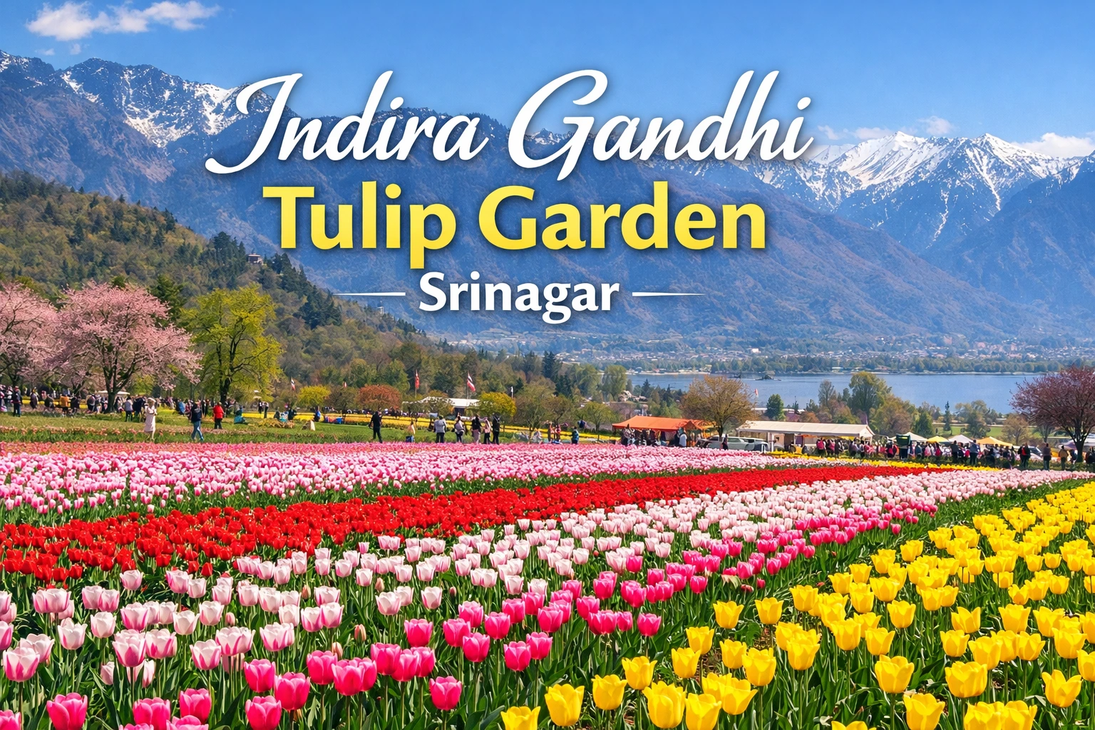 featured image for indra gandhi tulip memorial tulip garden -2026