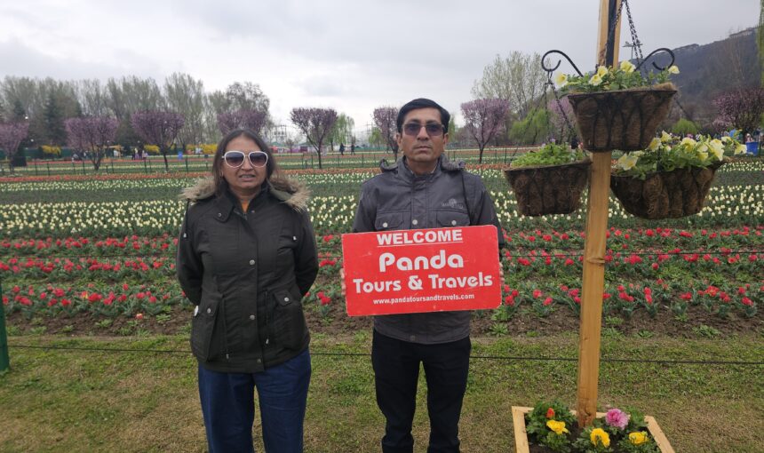Best Kashmir Tour Package Itinerary 2026 (5 Nights / 6 Days) – Panda Tours and Travels