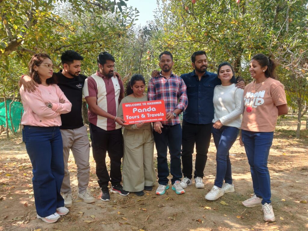 IMAGE KASHMIR TOUR PACKAGE