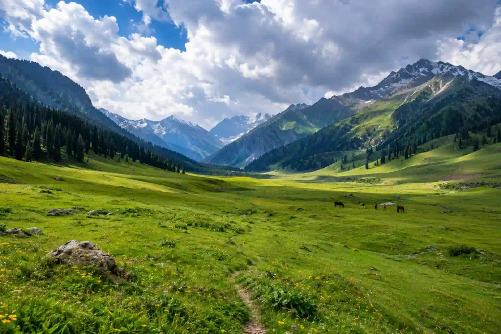 Best Places to Visit in Kashmir 11 Wide alpine meadow in Bangus Valley, Kashmir, surrounded by forested Himalayan mountains, with wildflowers, distant grazing horses and dramatic clouds.