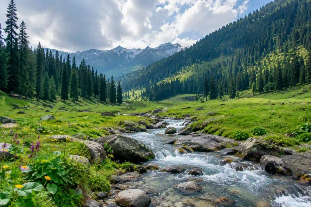 Best Places to Visit in Kashmir 6 Fresh summer landscape of Doodhpathri featuring an emerald-green meadow, clear mountain stream, wildflowers and dense pine forests in Kashmir, India.