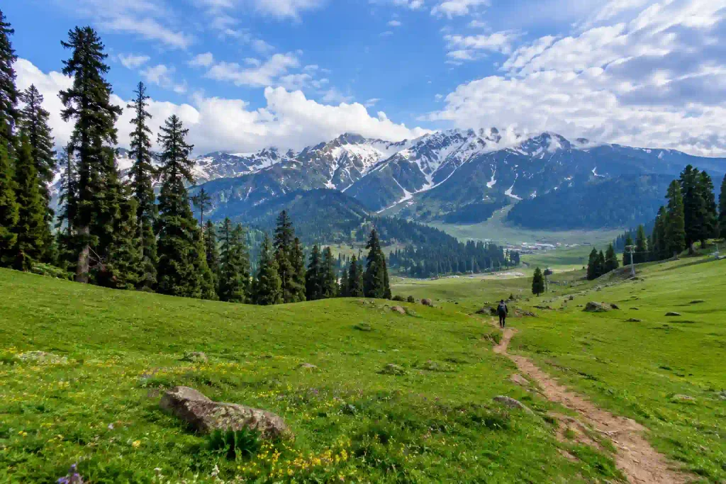 Best Places to Visit in Kashmir 3 Wide alpine meadow in Gulmarg surrounded by lush green grass, pine trees and the Pir Panjal Mountains under natural daylight in Kashmir, India.