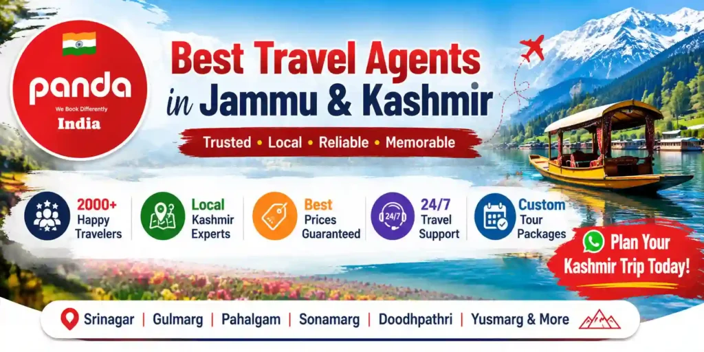 infographic image for Best Travel Agents in Jammu and Kashmir