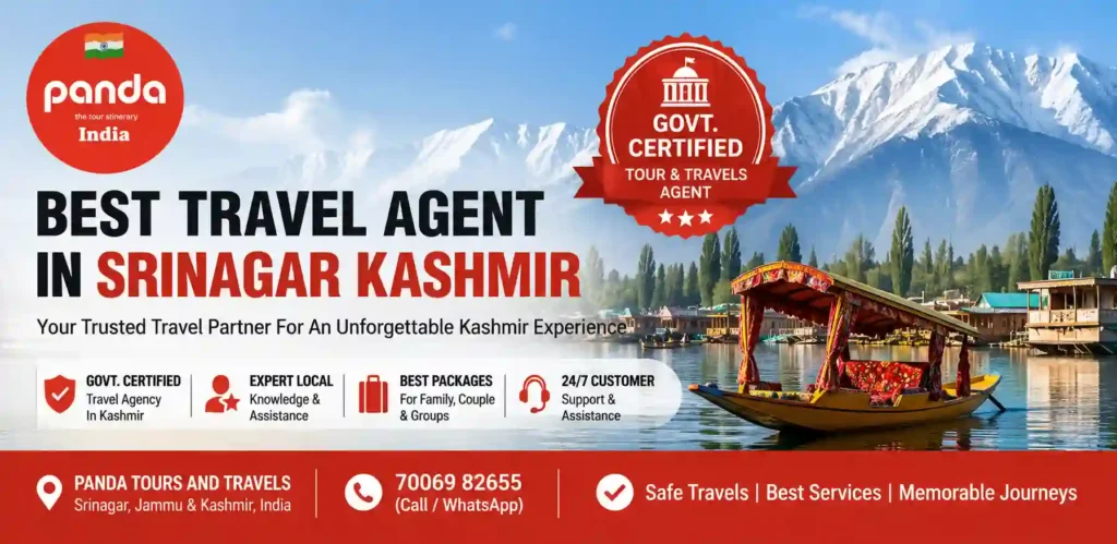 infographic image for Best travel agents in srinagar kashmir