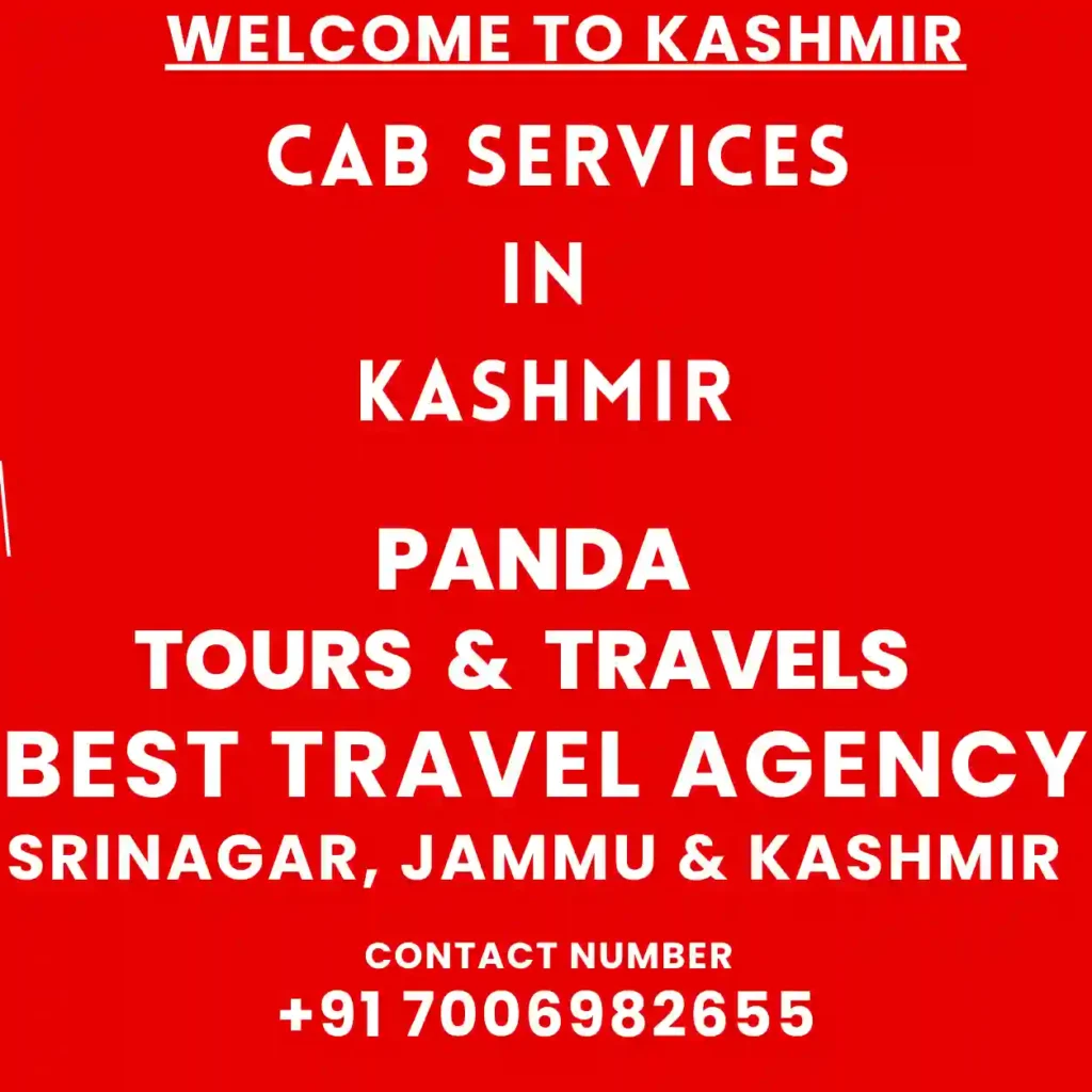 Infographic image for Cab Services in kashmir
