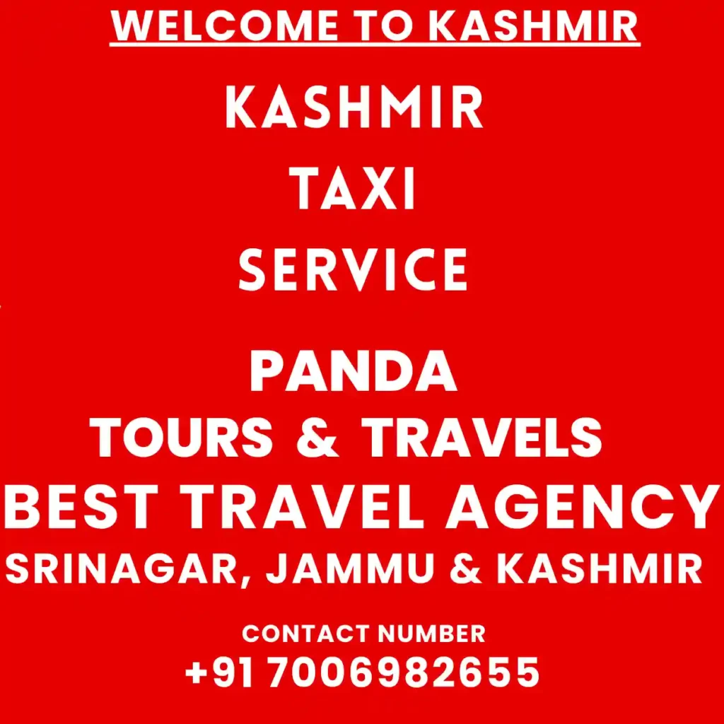 Kashmir Taxi Service: The Complete Local Guide to Booking a Safe, Fair-Priced Cab in 2026 / 2027 2 Infographic image for kashmir taxi services