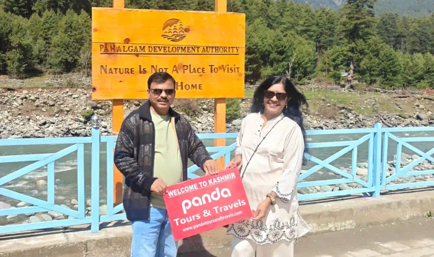 Kashmir Tour Packages from Shillong: Complete Travel Guide, Cost, Itinerary & Local Expert Tips