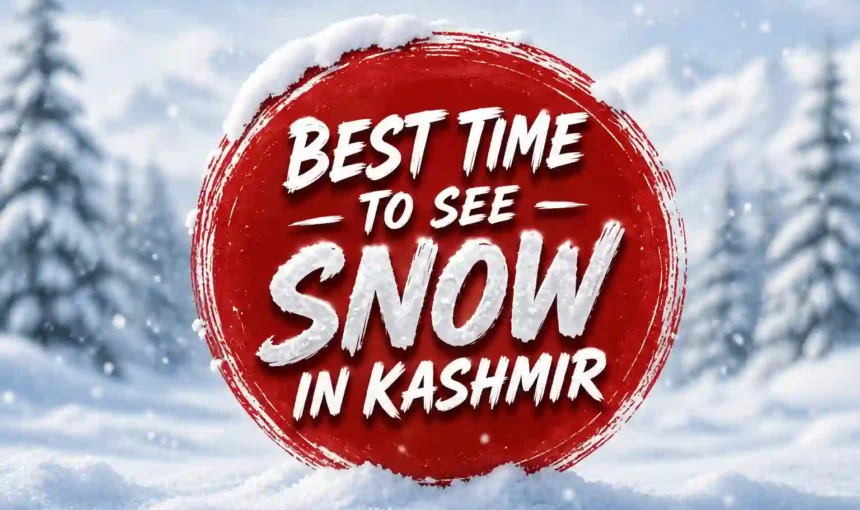 Best Time To See Snow In Kashmir – Complete 2026–27 Guide 8 Best Time To See Snow In Kashmir – Complete 2026–27 Guide