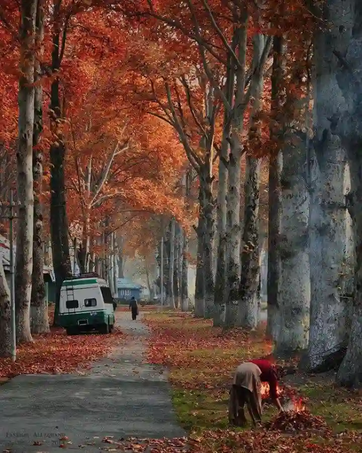 Autumn in Kashmir with Chinar trees and Mughal garden