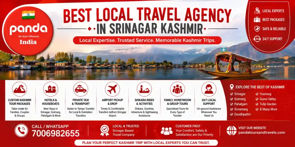 Infographic image for Best local Travel Agency in srinagar kashmir