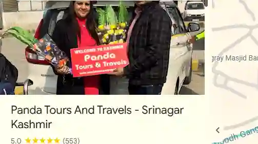 Google my Bussiness review Of panda tours and travels