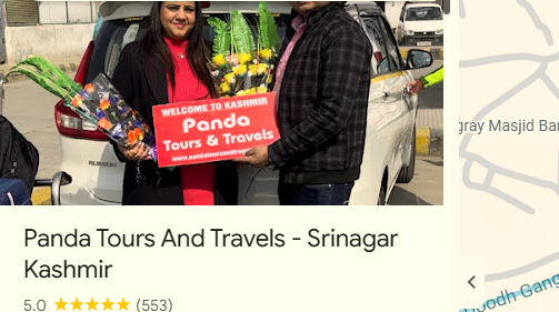 Activities to Do in Srinagar: What to Do, When to Go and Who It Suits 9 Google my bussiness profile of panda tours and travels