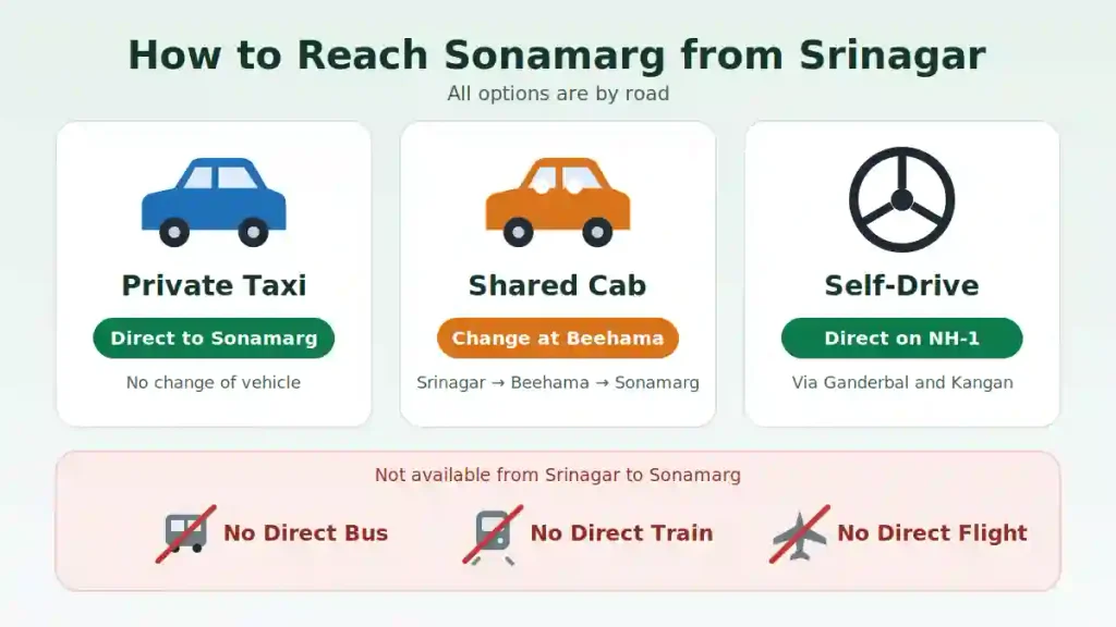 Options to reach Sonamarg from Srinagar: private taxi, shared cab with a change at Beehama and self-drive